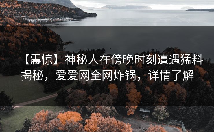【震惊】神秘人在傍晚时刻遭遇猛料揭秘，爱爱网全网炸锅，详情了解