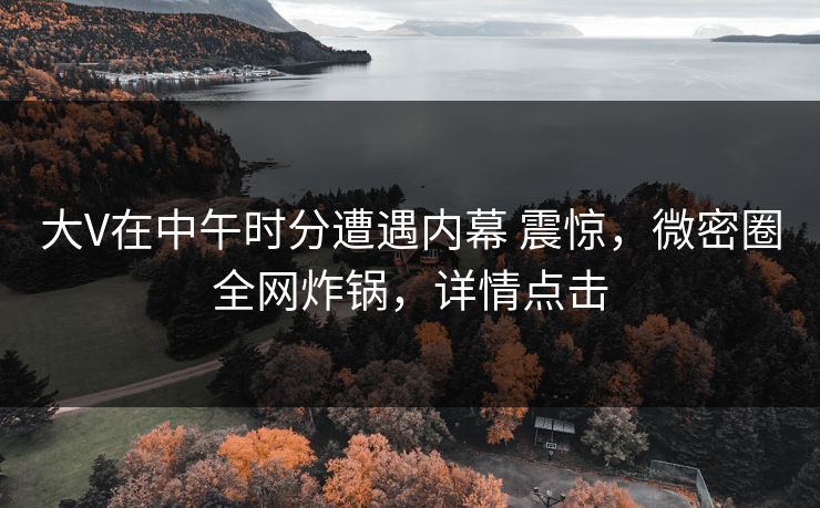 大V在中午时分遭遇内幕 震惊，微密圈全网炸锅，详情点击