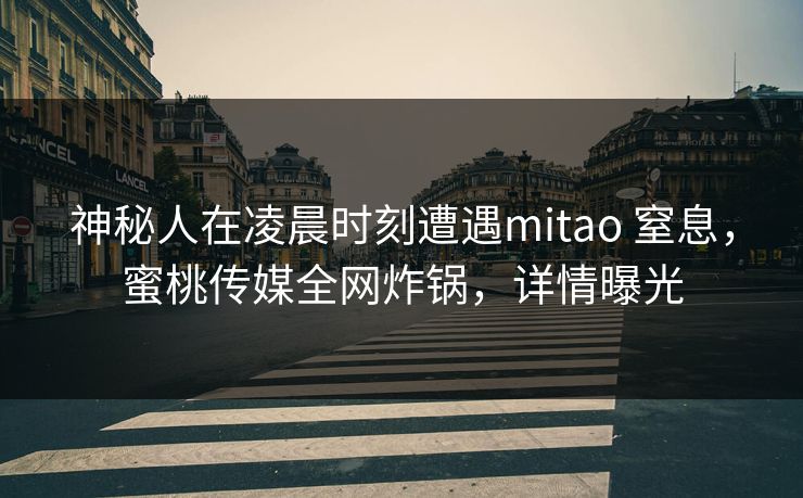 神秘人在凌晨时刻遭遇mitao 窒息，蜜桃传媒全网炸锅，详情曝光