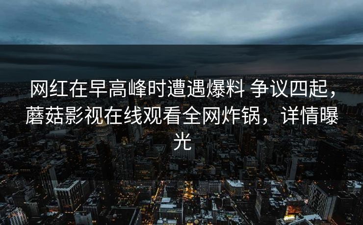 详细阅读:网红在早高峰时遭遇爆料 争议四起,蘑菇影视在线观看全网炸锅,详情曝光 网红在早高峰时遭遇爆料 争议四起,蘑菇影视在线观看全网炸锅,详情曝光