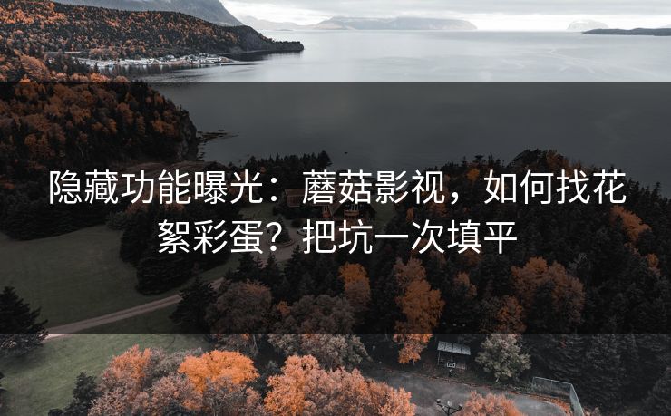 隐藏功能曝光：蘑菇影视，如何找花絮彩蛋？把坑一次填平