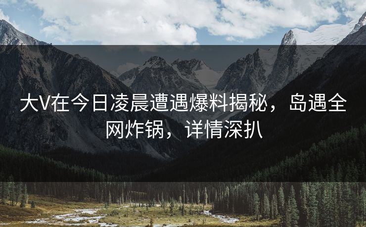 大V在今日凌晨遭遇爆料揭秘，岛遇全网炸锅，详情深扒