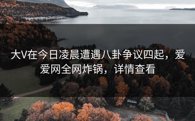 大V在今日凌晨遭遇八卦争议四起，爱爱网全网炸锅，详情查看