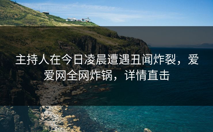 主持人在今日凌晨遭遇丑闻炸裂,爱爱网全网炸锅,详情直击 主持人在今日凌晨遭遇丑闻炸裂,爱爱网全网炸锅,详情直击