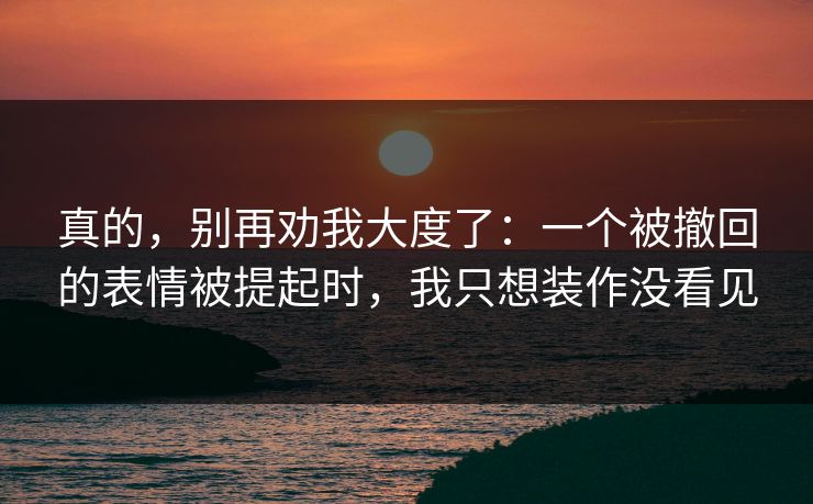 真的，别再劝我大度了：一个被撤回的表情被提起时，我只想装作没看见